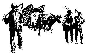 Петер Ярош - Тысячелетняя пчела