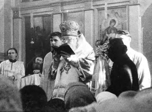 Екатерина Каликинская - Святитель Лука: факты, документы, воспоминания