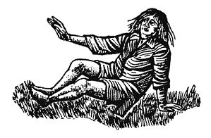 Кристиан Рейтер - Шельмуфский