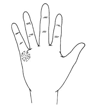 Антонина Соколова - Знаки судьбы на теле человека