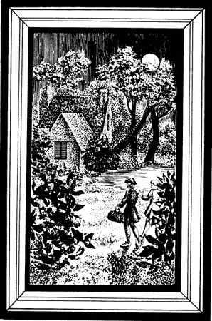 Александр Дюма - Графиня де Шарни