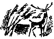 Повести и рассказы