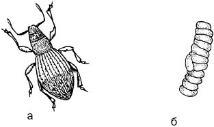 Светлана Ермакова - Календарь современного садовода. Защита сада и огорода от...