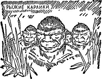 Жозеф Рони-Старший - Борьба за огонь