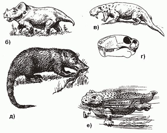 Кирилл Еськов - Удивительная палеонтология. История земли и жизни на ней