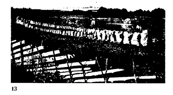 Хильда Дэвидсон - Древние скандинавы. Сыны северных богов