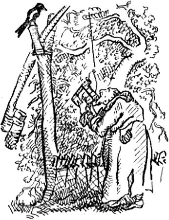 Михаил Садовяну - Братья Ждер