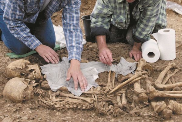 Анатолий Клёсов - Занимательная ДНК-генеалогия. Новая наука дает ответы