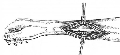 Екатерина Каликинская - Святитель Лука: факты, документы, воспоминания