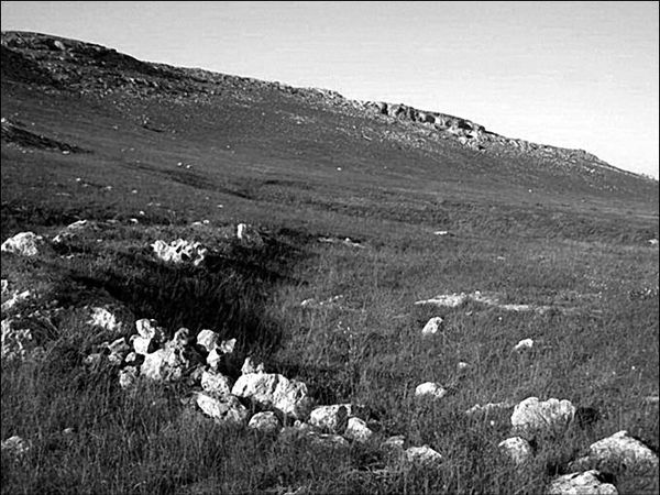 Анатолий Бернацкий - 100 великих тайн океана