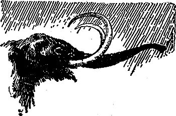 Жозеф Рони-Старший - Борьба за огонь