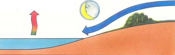 Ауст Зигфрид - Погода