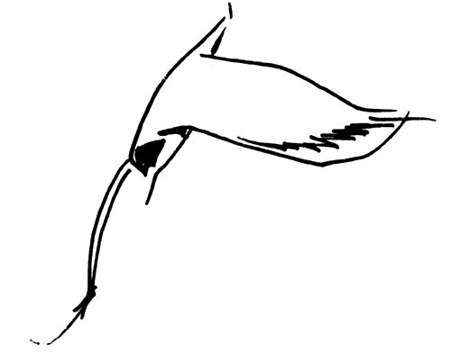 Вилис Лацис, Жан Грива и др. - Ладейная кукла