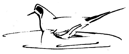 Вилис Лацис, Жан Грива и др. - Ладейная кукла