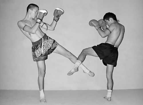 Бим Бэкман, Аман Атилов - Бойцовский клуб: боевой фитнес для мужчин