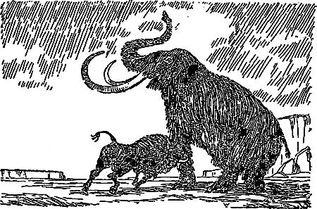 Жозеф Рони-Старший - Борьба за огонь