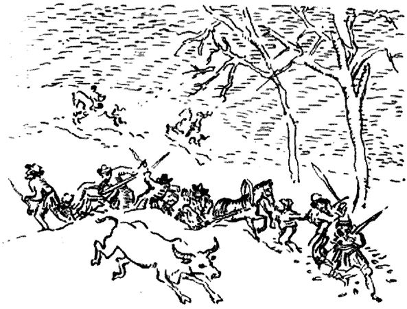 Михаил Садовяну - Братья Ждер