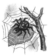 Владимир Одоевский - Городок в табакерке (сборник)