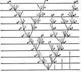 Распространненость жизни и уникальность...