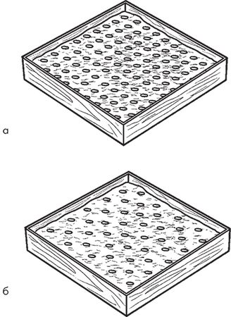 Сергей Кашин - Овощи, ягоды, фрукты. Умная рассада и бережное хранение