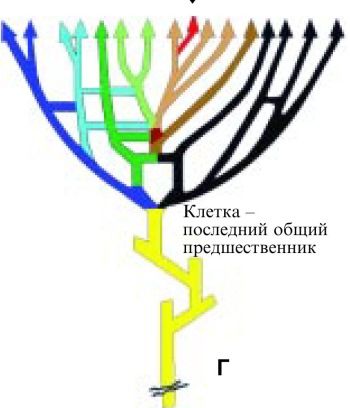 Марк Мосевицкий - Распространненость жизни и уникальность разума?