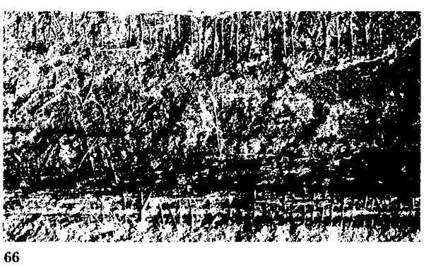 Хильда Дэвидсон - Древние скандинавы. Сыны северных богов