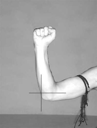 Бим Бэкман, Аман Атилов - Бойцовский клуб: боевой фитнес для мужчин