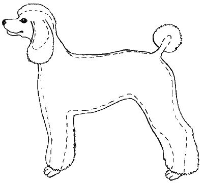 М. Колов, Е. Куприянова - Парикмахерская для собак и кошек
