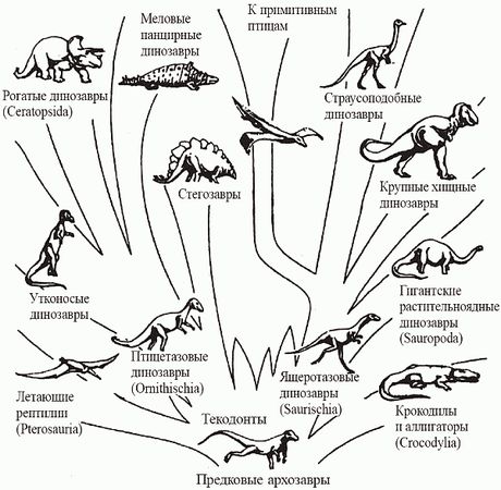 Кирилл Еськов - Удивительная палеонтология. История земли и жизни на ней