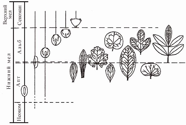 Кирилл Еськов - Удивительная палеонтология. История земли и жизни на ней