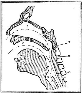 Марионилла Кольцова - Ребенок учится говорить.