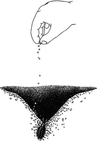 Лорус Милн, Маргарет Милн - Чувства животных и человека