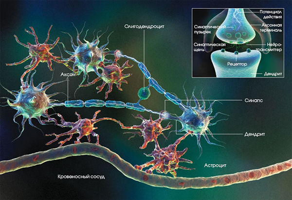Владимир Иванов - Кластеры