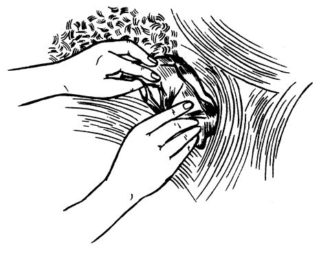 Линиза Жалпанова, Наталья Сухинина - Гостиная