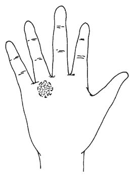 Антонина Соколова - Знаки судьбы на теле человека