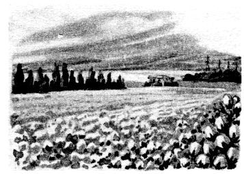 Василий Захарченко - Путешествие в Завтра