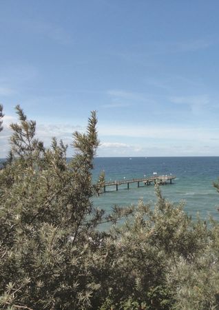 Анатолий Клёсов - Занимательная ДНК-генеалогия. Новая наука дает ответы