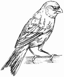 Александр Махнёв - О прожитом с иронией. Часть I (сборник)