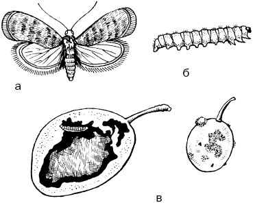 Светлана Ермакова - Календарь современного садовода. Защита сада и огорода от...