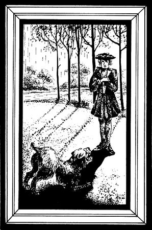 Александр Дюма - Графиня де Шарни