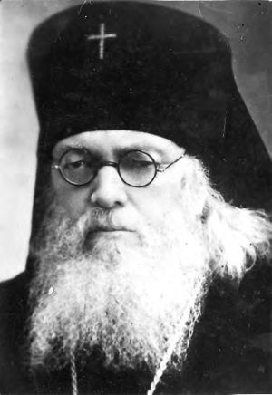 Екатерина Каликинская - Святитель Лука: факты, документы, воспоминания