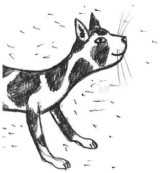 Ксения Драгунская - Честные истории