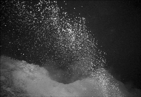 Анатолий Бернацкий - 100 великих тайн океана