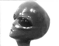 Виктор Рогожкин - Эниология