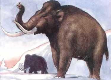 Ауст Зигфрид - Погода