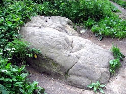 Лиза Гудвин, Ярослав Полянский - Вирус мистики