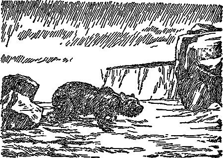 Жозеф Рони-Старший - Борьба за огонь