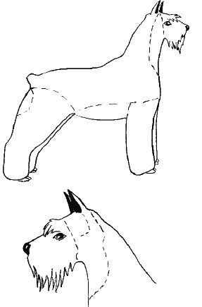 М. Колов, Е. Куприянова - Парикмахерская для собак и кошек