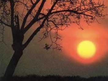 Ауст Зигфрид - Погода