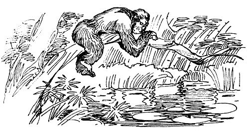 Дайан Фосси - Гориллы в тумане